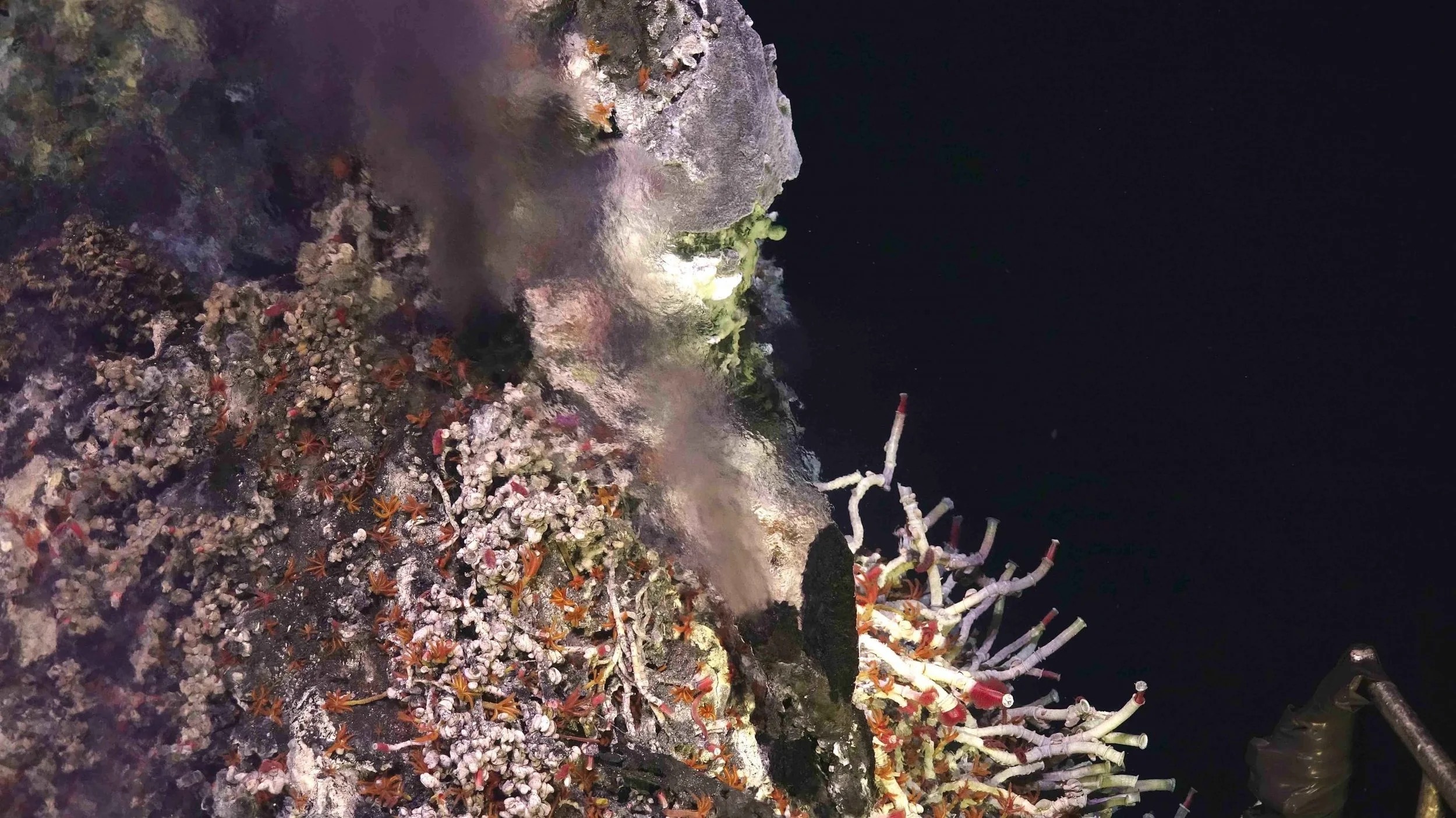 ROV Jason sampled hydrothermal vent fluids at the vents of the Axial Seamount. Credit: W. Chadwick, OSU, NSF, WHOI. 2020.